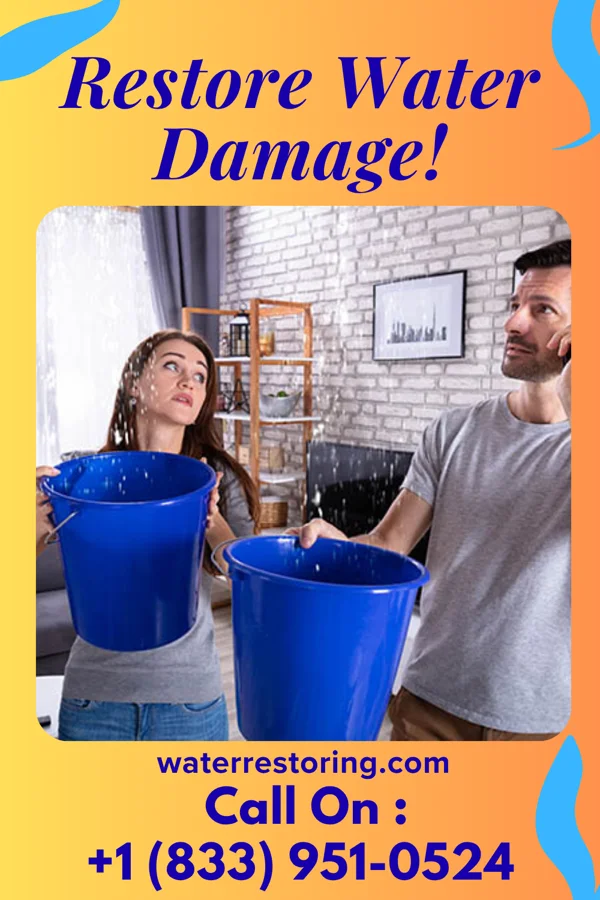 water restoration Lightning Disaster Cleanup Professionals Laporte