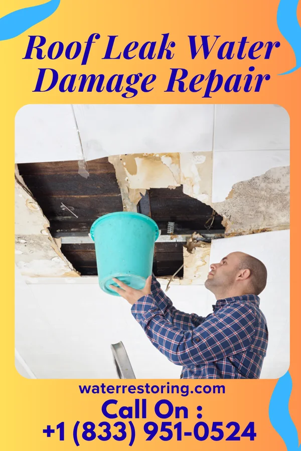 Roof Leak Water Damage Repair in Laporte, MN