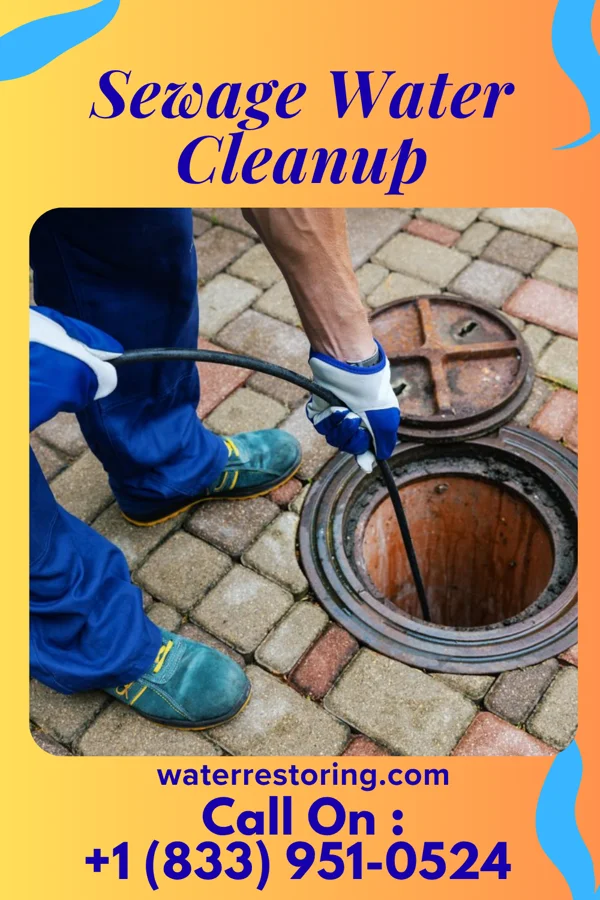 Sewage Water Cleanup in Laporte, MN