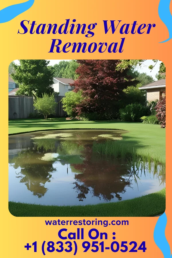 Standing Water Removal in Laporte, MN